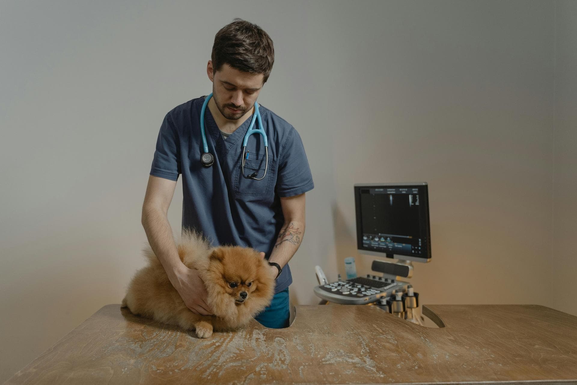 Dog & Cat Vets in Centennial